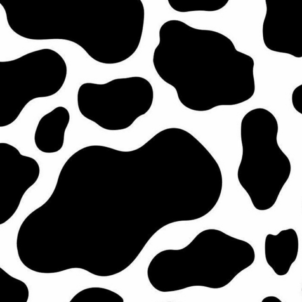 Meet your Posher, Aspen